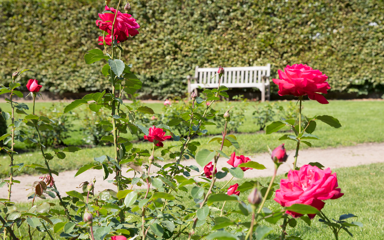 Vacancy weekend help gardens Landgoed Het Roode Koper